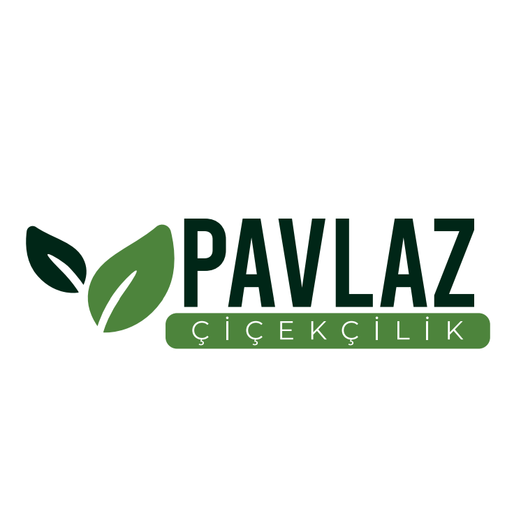 Pavlaz Süs Bitkileri